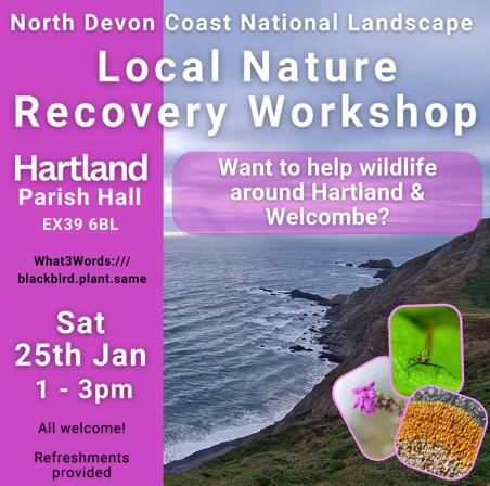 Local Nature Recovery Workshopi